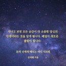 돈머니 이미지
