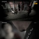 몽키타운 이미지