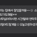 보노도그 이미지