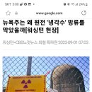 복실수산 이미지