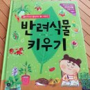 반려식물키우기-반려식물 13종 소개