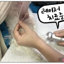 방학동물외과센터 이미지