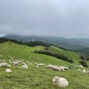 높은터목장 이미지