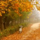 그대안의 풍경 이미지