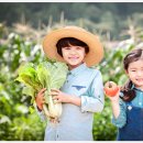 청솔농산물