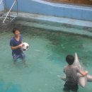 만수산자연휴양림 이미지