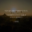 스텝업 태권도장 이미지