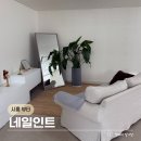 [시흥/정왕] 네일인트ㅣ배곧 정왕동 네일아트 원컬러 페디큐어 맛집
