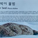 왕피천공원 자전거대여소 이미지