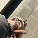 파리바게트 청주강내점 네이버블로그
