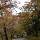 산골펜션 이미지