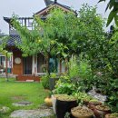 아침이슬펜션민박 이미지