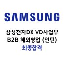 삼성국제경영연구소 | [삼성전자DX] 2025년 상반기 인턴 합격 후기(VD사업부 B2B 해외영업 직무)