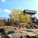 대흥리 마을회관앞(하천) | 구례 산수유축제 주차 꿀팁 포토존 방문 후기