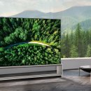 LG의 매머드 88 인치 8K OLED TV 판매 개시 이미지