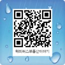 해피러스