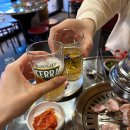 서강껍데기 이미지
