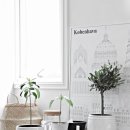 여름식물 인테리어 이미지