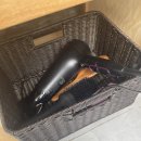 래생 | 제주애월 에어비앤비 혼자여행, 가성비좋은 1인 여성전용 숙소추천