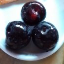 가야농원 이미지