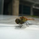 신촌민박 이미지