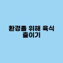 육식도 이미지