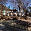 계양산산림욕장(장미원) | 추운 겨울공원 계양산 산림욕장 장미원