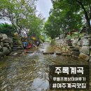 주록리계곡 루돌프 | [공지] 주록계곡 평상대여 루돌프 내돈내산 후기