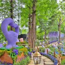 서운체육공원 (반려견센터) | 보라매공원 주차 꿀팁 총정리! 주말 주차 대란 피하는 법