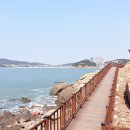 선녀바위-선착장 이미지