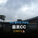 베어포트리조트(대중18홀) | 웅포컨트리 이용후기 : 익산 골프장 조망 끝판왕, 실속 라운딩 팁