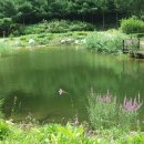 강원도자연환경연구공원 | [강원 홍천 여행] 강원도 자연환경 연구공원_2016년 8월