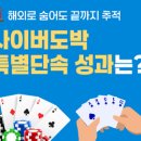 국제개발협력실천시민연합