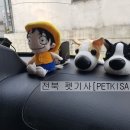 멍냥 펫택시 이미지