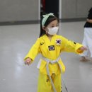 대한민국태권도장 이미지