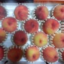 상연농장 이미지