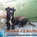 독산로2길 이미지