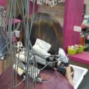 헤어도도(DODO) 이미지