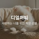 디얼퍼피