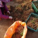 한진2농장 이미지