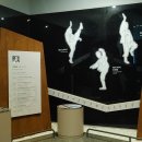 충주세계무술박물관 이미지