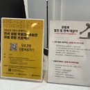 제주 현대미술관 | 제주 비오는날 실내 전시 제주현대미술관 이제 앎 입장료 할인 꿀팁