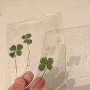 클로버치과의원 이미지