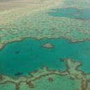 [호주유학원 그레이트 배리어리프] 지상최대 산호초 아일랜드 호주 '그레이트 배리어리프' 이미지