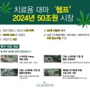 대마기획 이미지