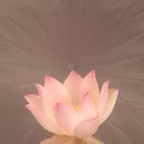 연화로 이미지