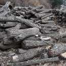 산장농원 이미지