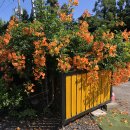 대흘초등학교 이미지