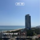 양양 숙소 추천 르부르 낙산 호텔 내돈내산 스탠다드 하프오션룸 후기