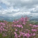 지리산유랑 이미지